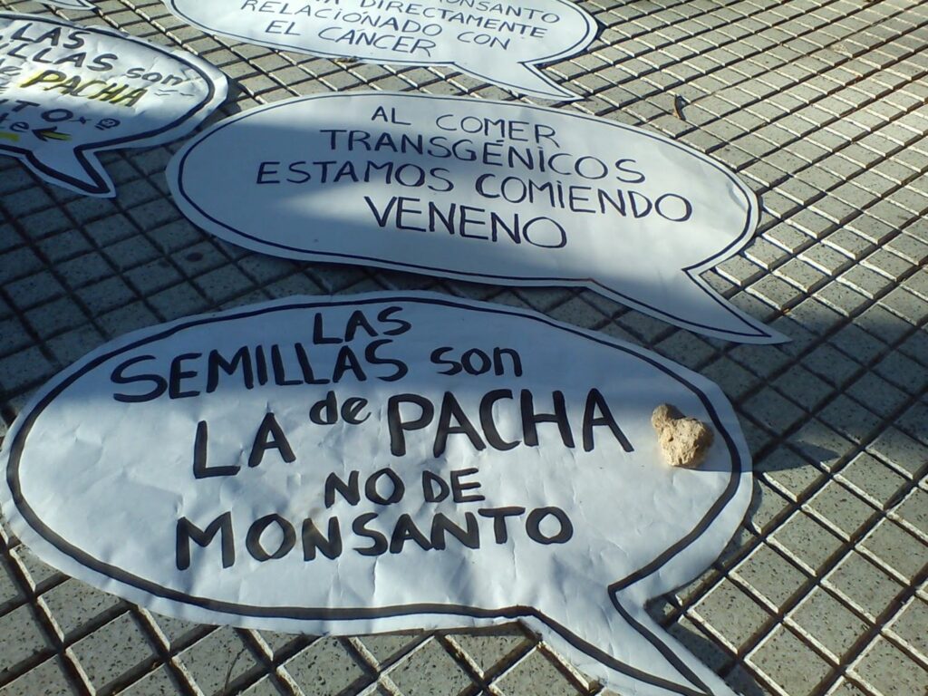 semilla
