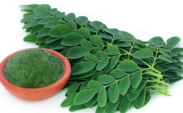¿Qué es y para qué sirve la moringa?