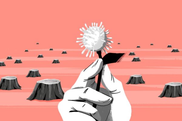 La responsabilidad de la agroindustria en el Covid-19 y otras enfermedades virales