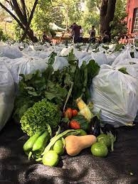 “El Mangrullo” en Agronomía: un espacio para la Vida y la Alimentación Responsable