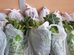 En la Facultad de Agronomía proponen Otra forma de alimentarse mas sana